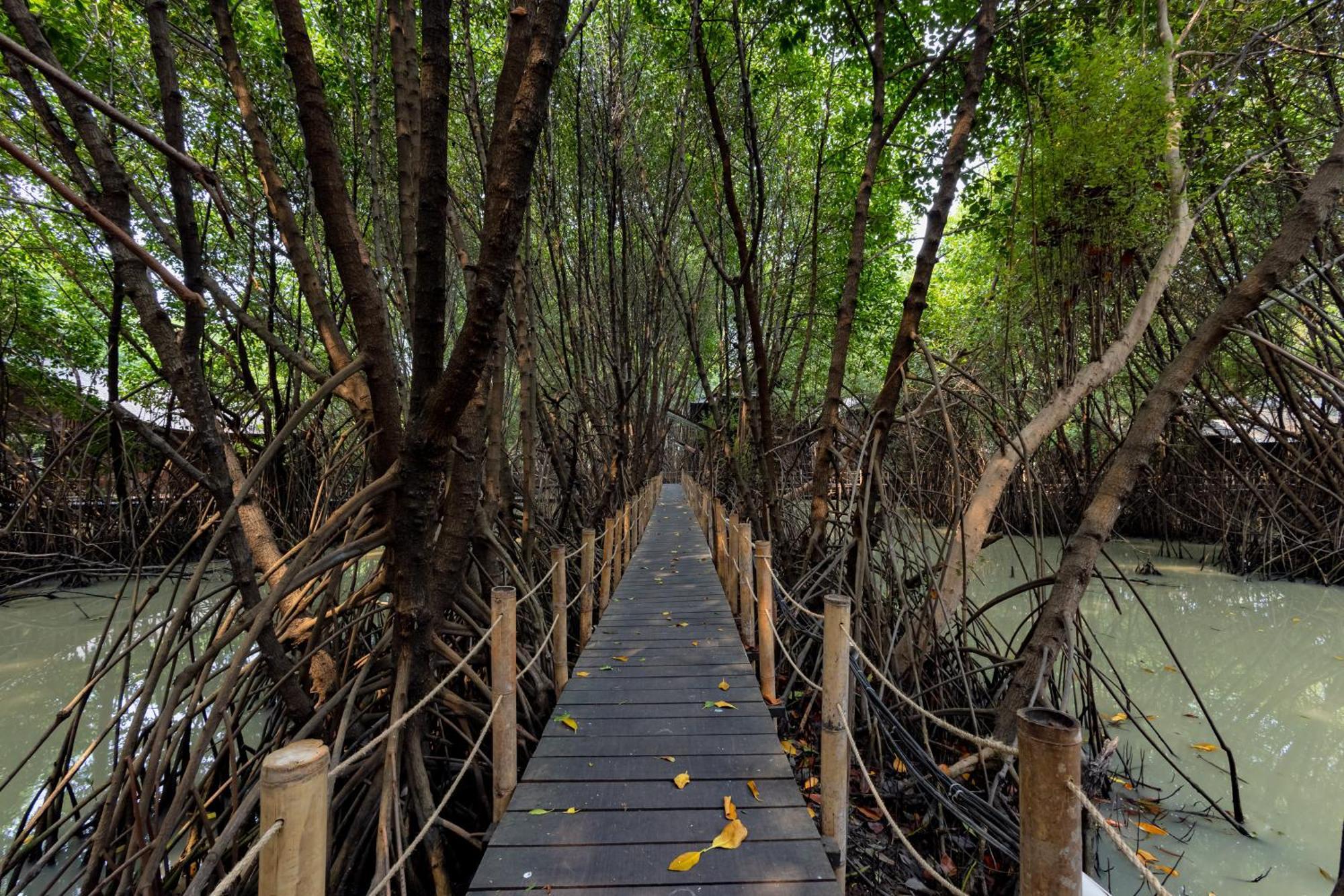 Reddoorz Resort @ Taman Wisata Mangrove Jakarta Exterior photo