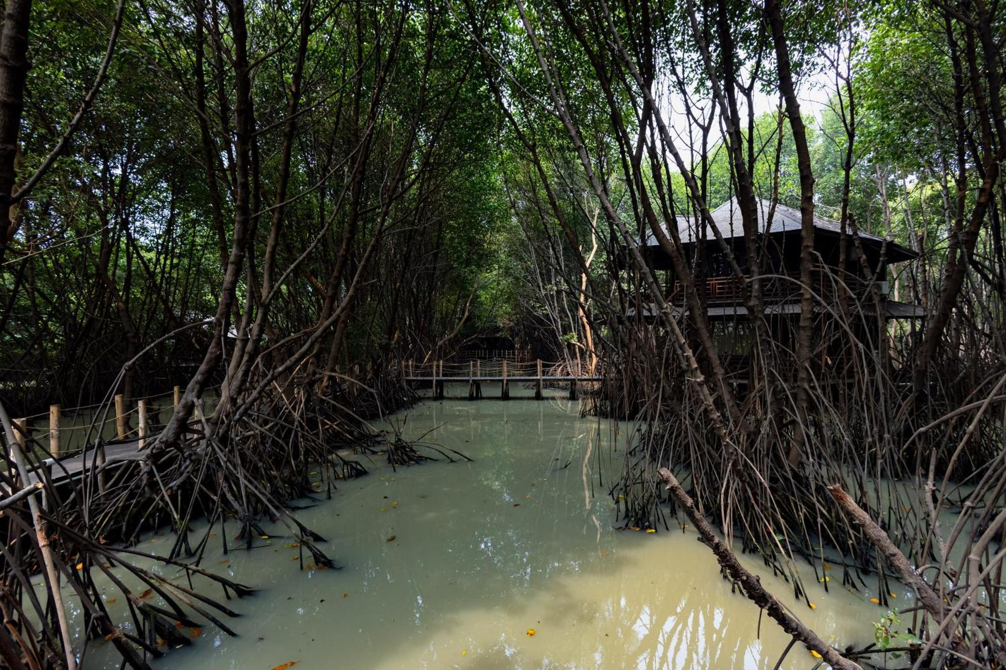 Reddoorz Resort @ Taman Wisata Mangrove Jakarta Exterior photo