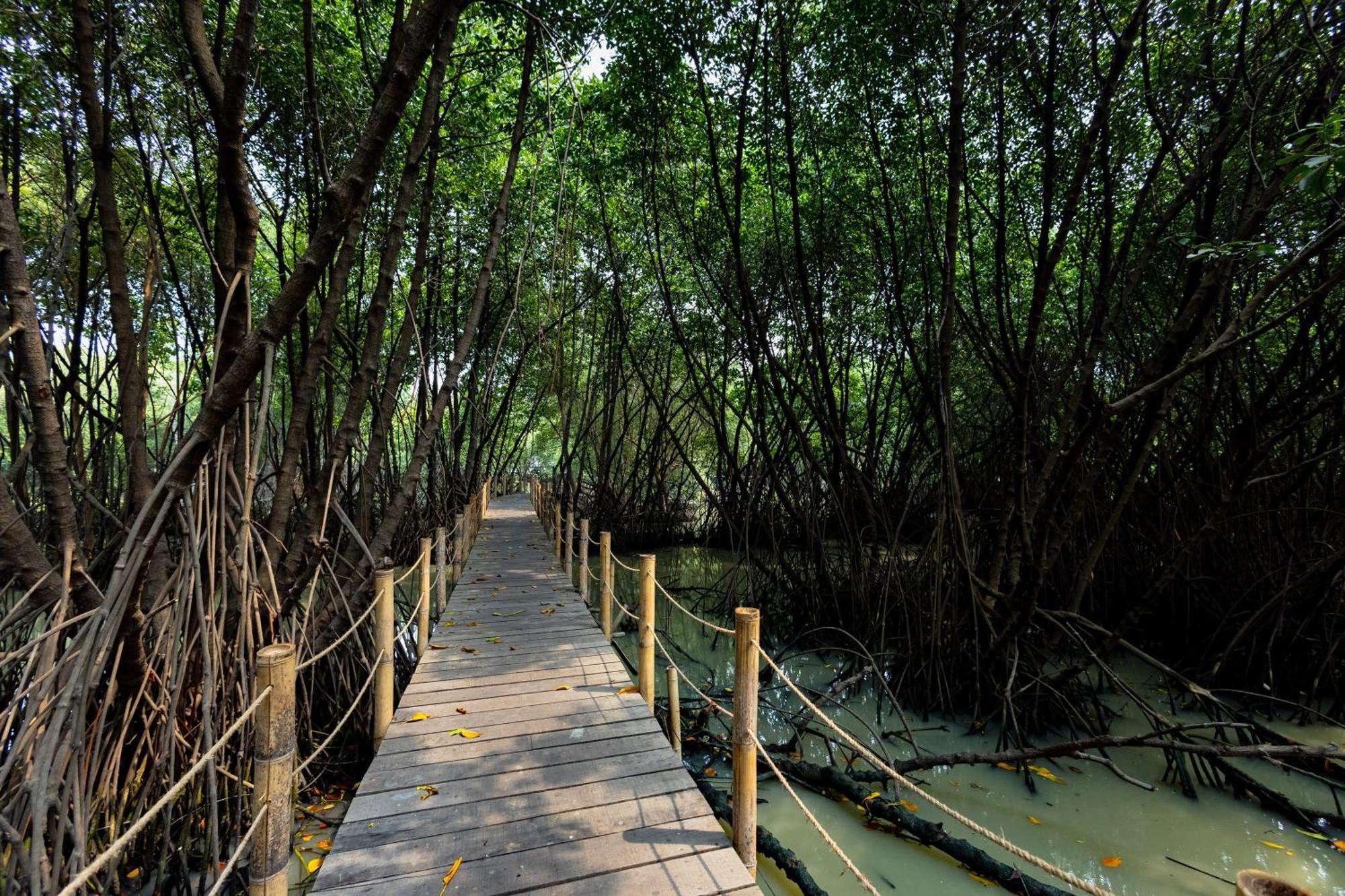 Reddoorz Resort @ Taman Wisata Mangrove Jakarta Exterior photo